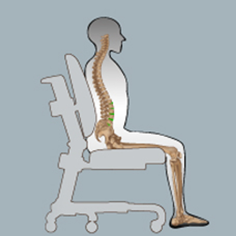 Ergonomics Modern Design